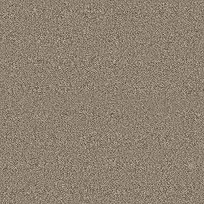 Shaw VA251 COTTAGE CREAM